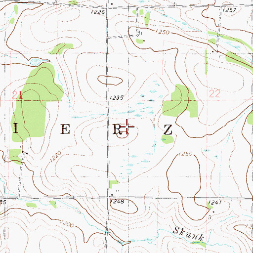 Topographic Map of Township of Pierz, MN