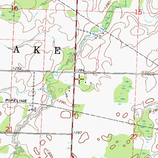 Topographic Map of Township of Pine Lake, MN