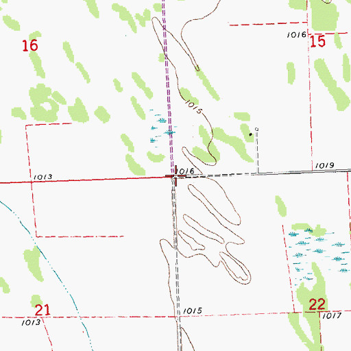 Topographic Map of Township of Polonia, MN