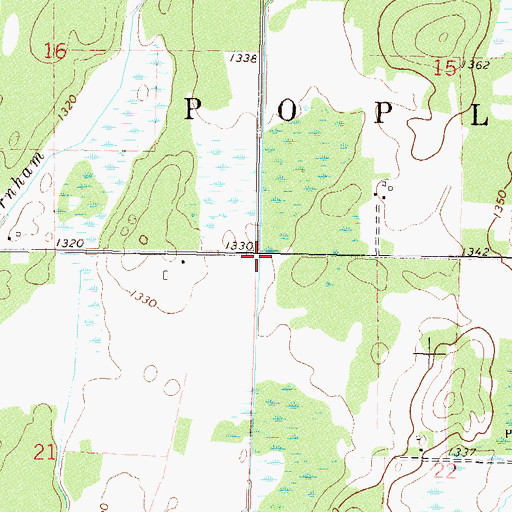 Topographic Map of Township of Poplar, MN