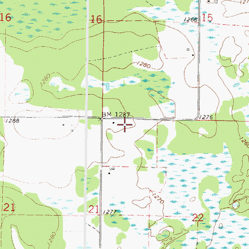 Topographic Map of Township of Pulaski, MN