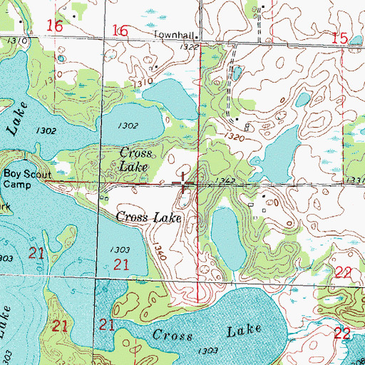 Topographic Map of Township of Queen, MN