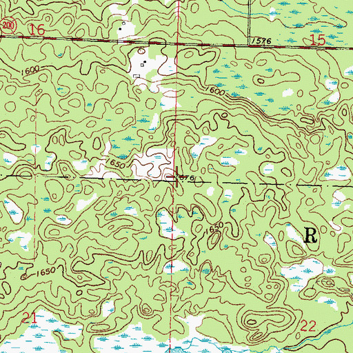 Topographic Map of Township of Rice, MN