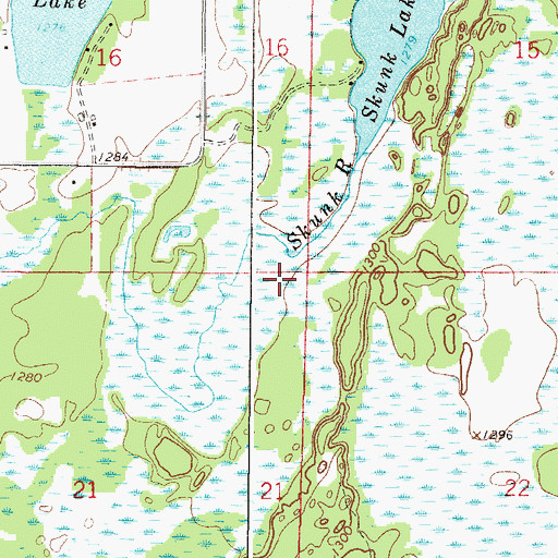 Topographic Map of Township of Richardson, MN