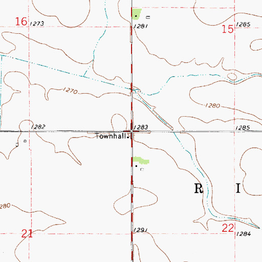 Topographic Map of Township of Ripley, MN