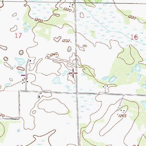 Topographic Map of Township of Ripley, MN