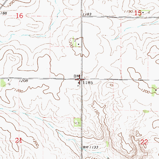 Topographic Map of Township of Roscoe, MN