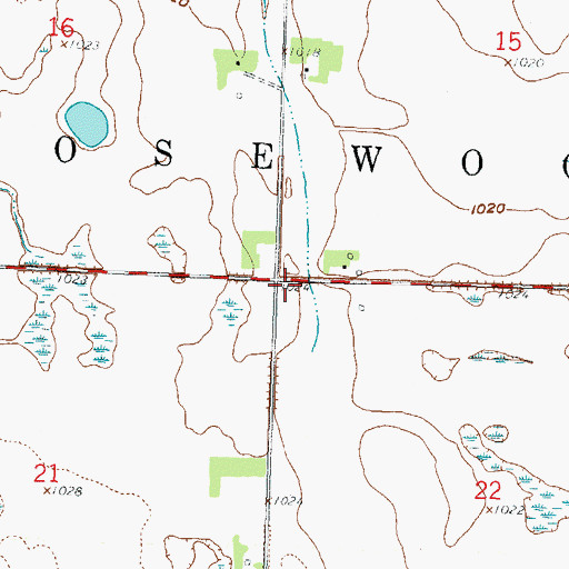 Topographic Map of Township of Rosewood, MN