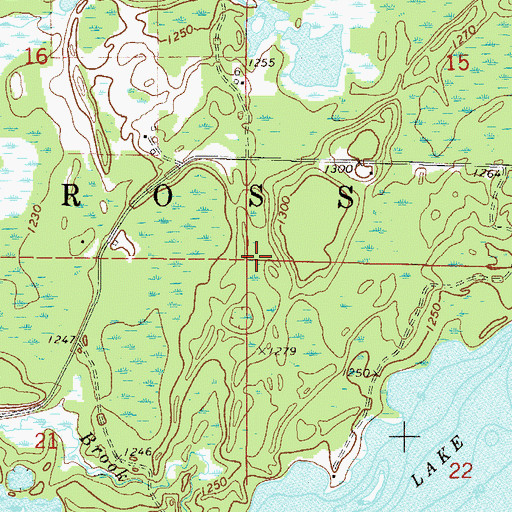 Topographic Map of Township of Ross Lake, MN