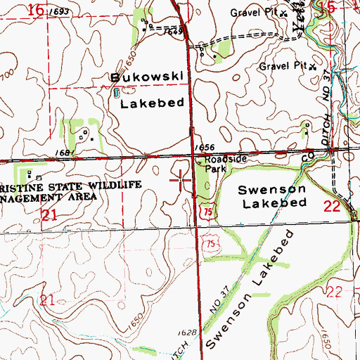 Topographic Map of Township of Royal, MN