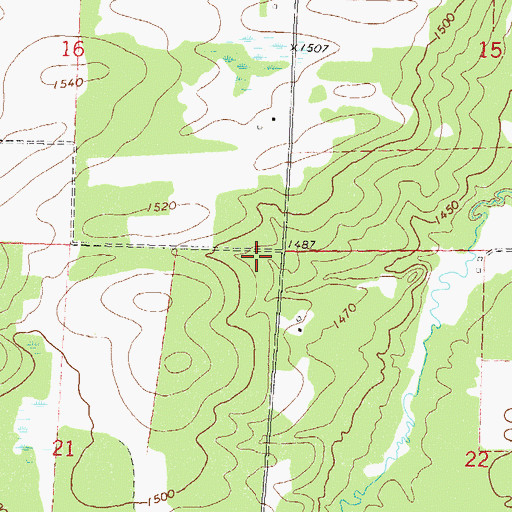 Topographic Map of Township of Runeberg, MN