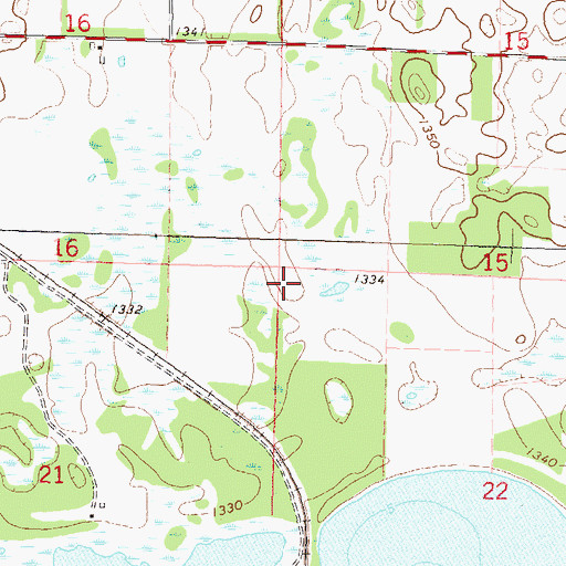 Topographic Map of Township of Rush Lake, MN