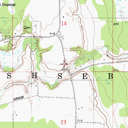 Topographic Map of Township of Rushseba, MN