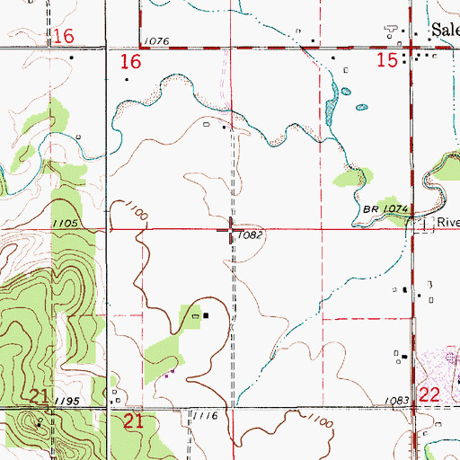 Topographic Map of Township of Salem, MN