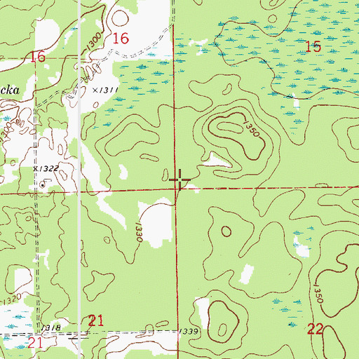 Topographic Map of Township of Salo, MN