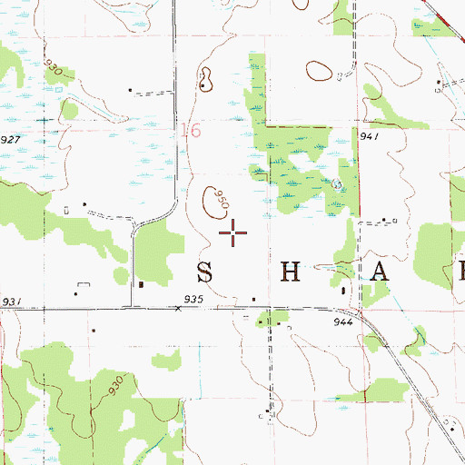 Topographic Map of Township of Shafer, MN