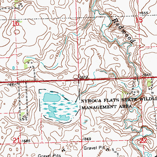 Topographic Map of Township of Shelburne, MN