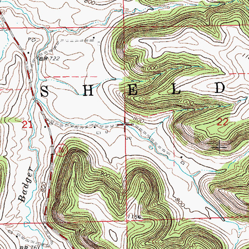 Topographic Map of Township of Sheldon, MN