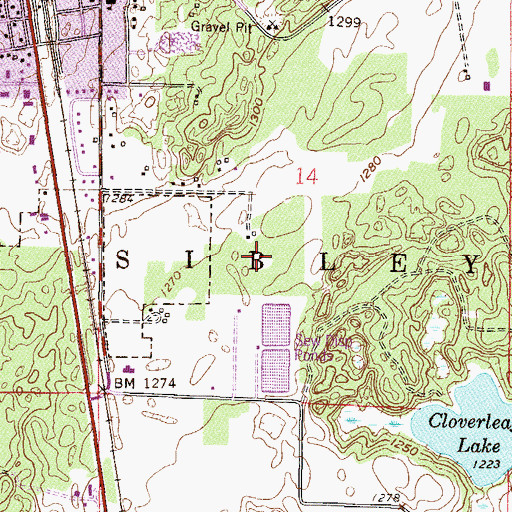 Topographic Map of Township of Sibley, MN