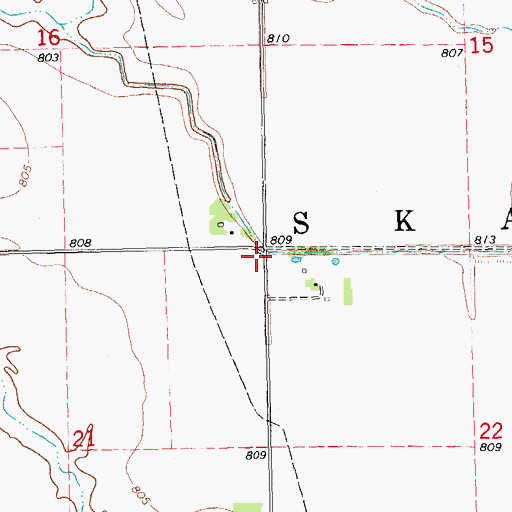 Topographic Map of Township of Skane, MN