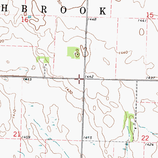 Topographic Map of Township of Southbrook, MN