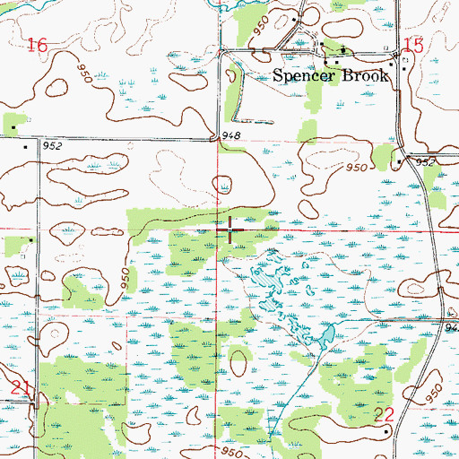 Topographic Map of Township of Spencer Brook, MN