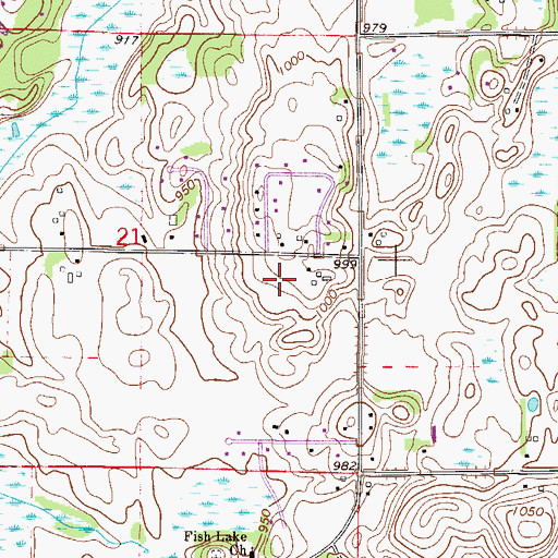 Topographic Map of Township of Spring Lake, MN