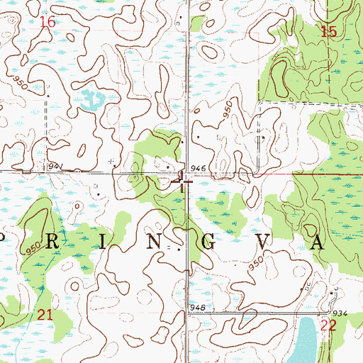 Topographic Map of Township of Springvale, MN