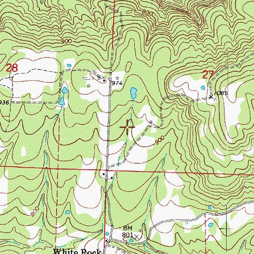 Topographic Map of Township of White Rock, AR