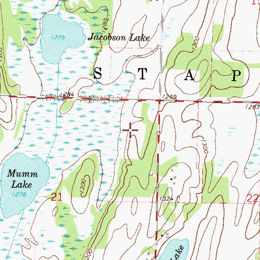 Topographic Map of Township of Staples, MN