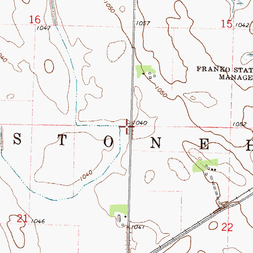 Topographic Map of Township of Stoneham, MN