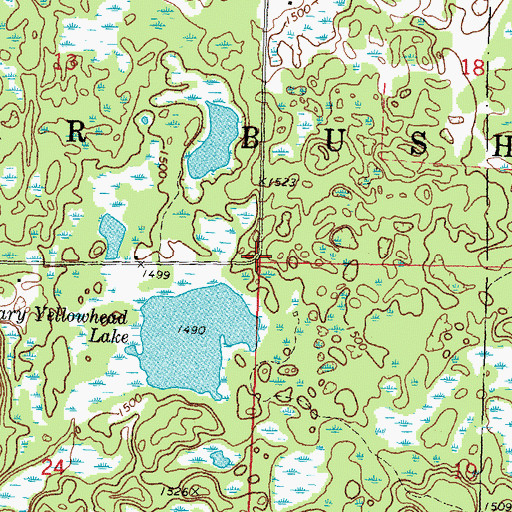 Topographic Map of Township of Sugar Bush, MN