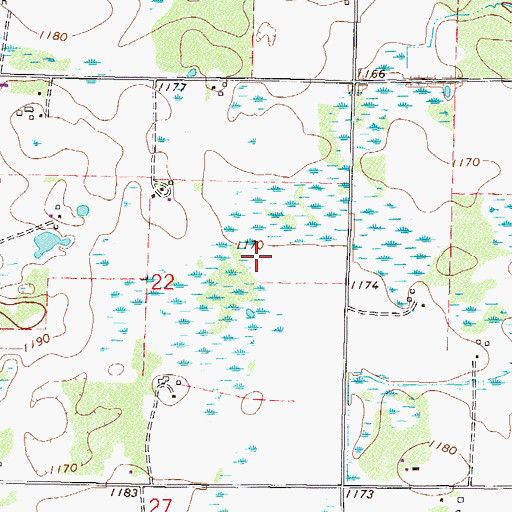 Topographic Map of Township of Swan River, MN