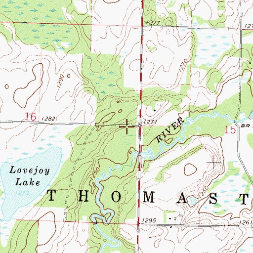 Topographic Map of Township of Thomastown, MN