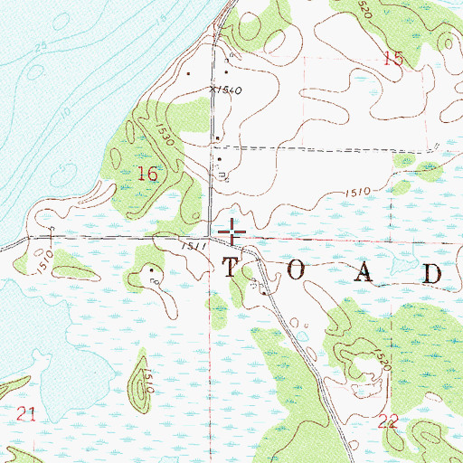 Topographic Map of Township of Toad Lake, MN