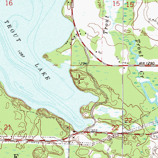 Topographic Map of Township of Trout Lake, MN