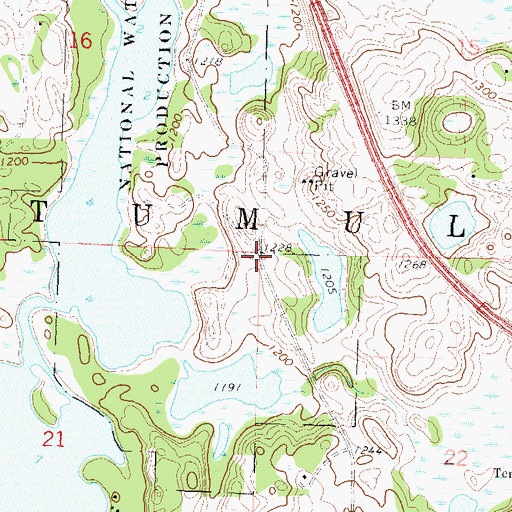 Topographic Map of Township of Tumuli, MN