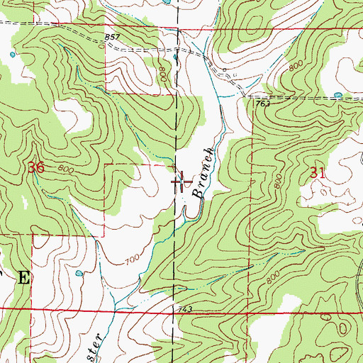Topographic Map of Township of Vidette, AR