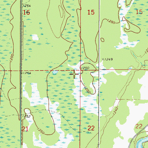 Topographic Map of Township of Verdon, MN