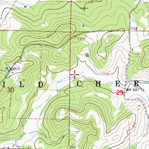 Topographic Map of Township of Wild Cherry (historical), AR