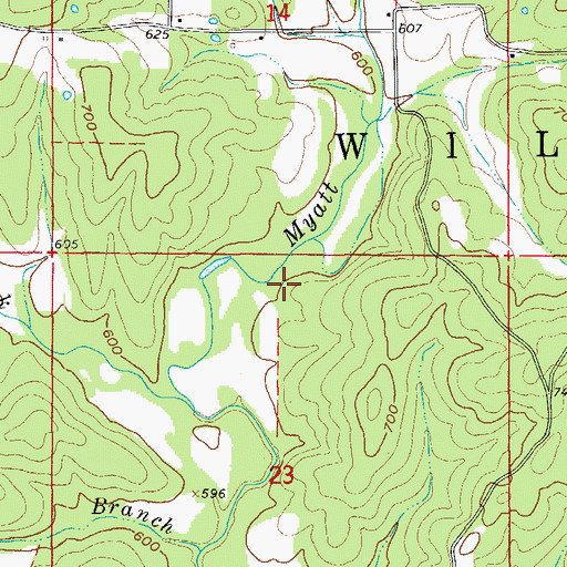 Topographic Map of Township of Wilson, AR