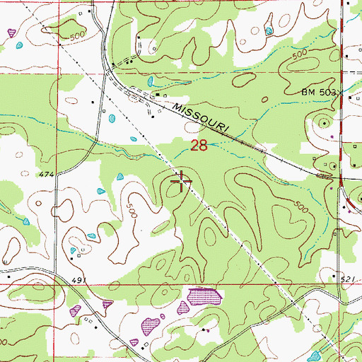 Topographic Map of Township of Bain (historical), AR