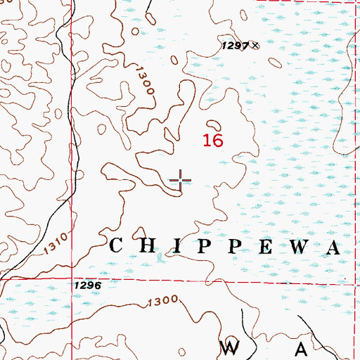 Topographic Map of Township of Wahnena, MN