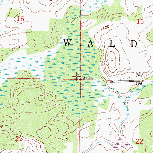 Topographic Map of Township of Walden, MN