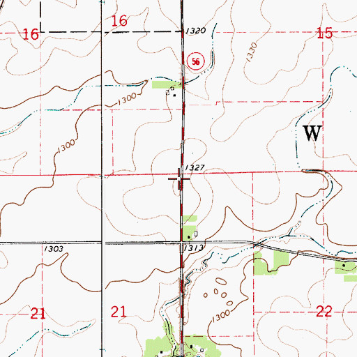 Topographic Map of Township of Waltham, MN
