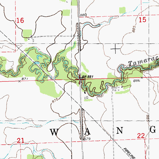 Topographic Map of Township of Wanger, MN