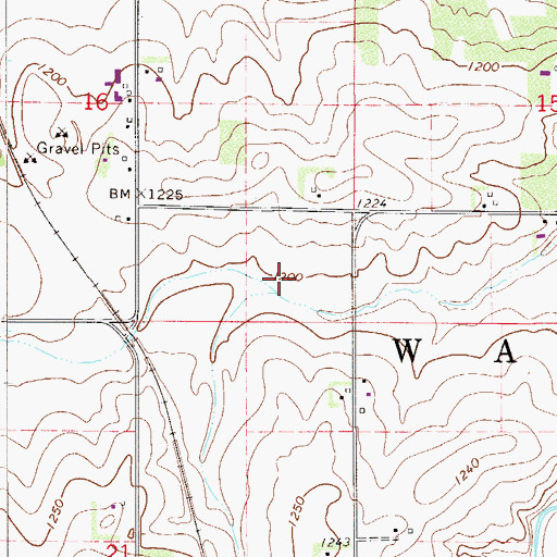 Topographic Map of Township of Wasioja, MN