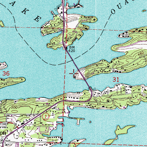 Topographic Map of Township of Lake Hamilton, AR