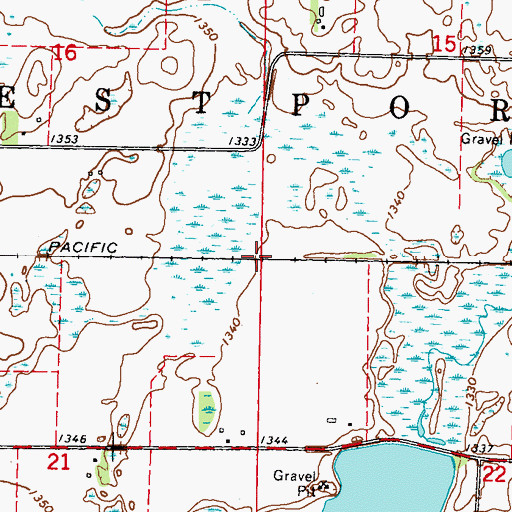 Topographic Map of Township of Westport, MN