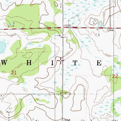 Topographic Map of Township of Whited, MN